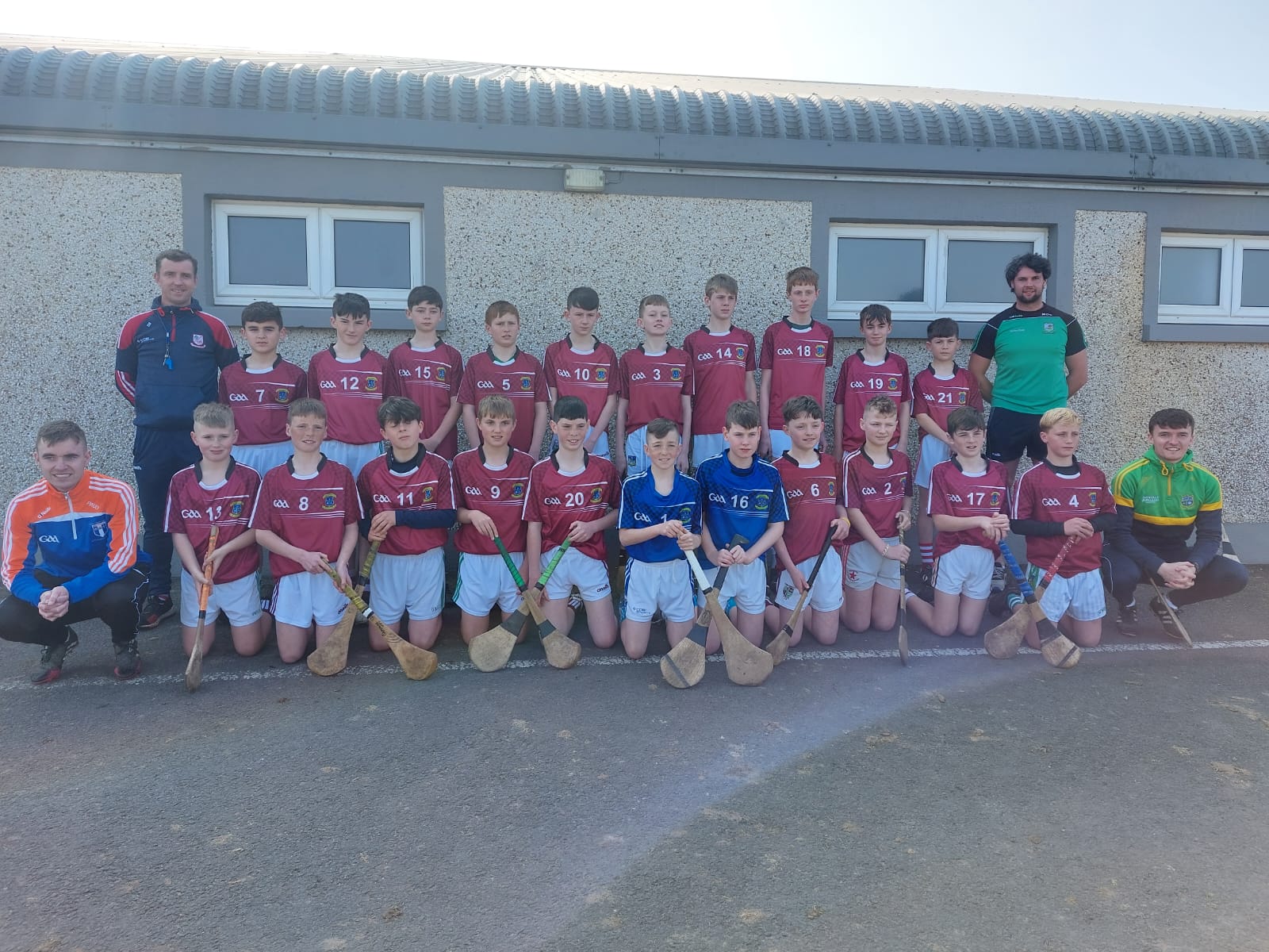 Herbertstown NS Pupils Represent South Limerick